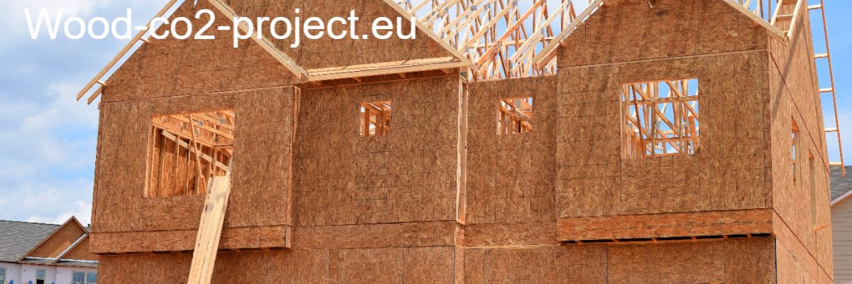 wood-co2-project.eu